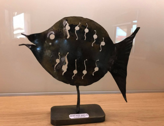 125274818_369443687663417_4351857757468727972_n