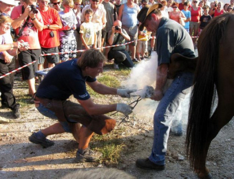 evropsko prvenstvo v košnji trave, Cerklje  avgust 2011