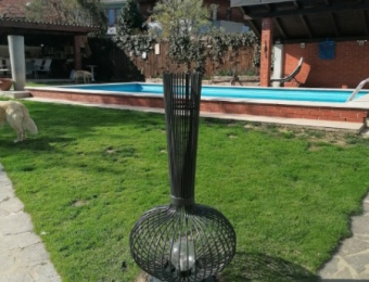 190116176_768386263845575_4328099703929434199_n